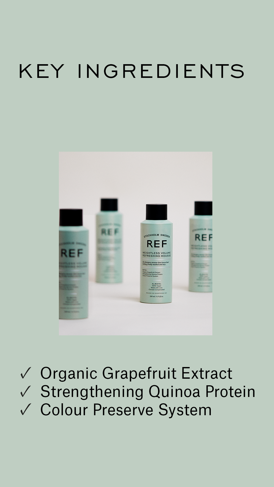REF Weightless Volume Refreshing Mousse
